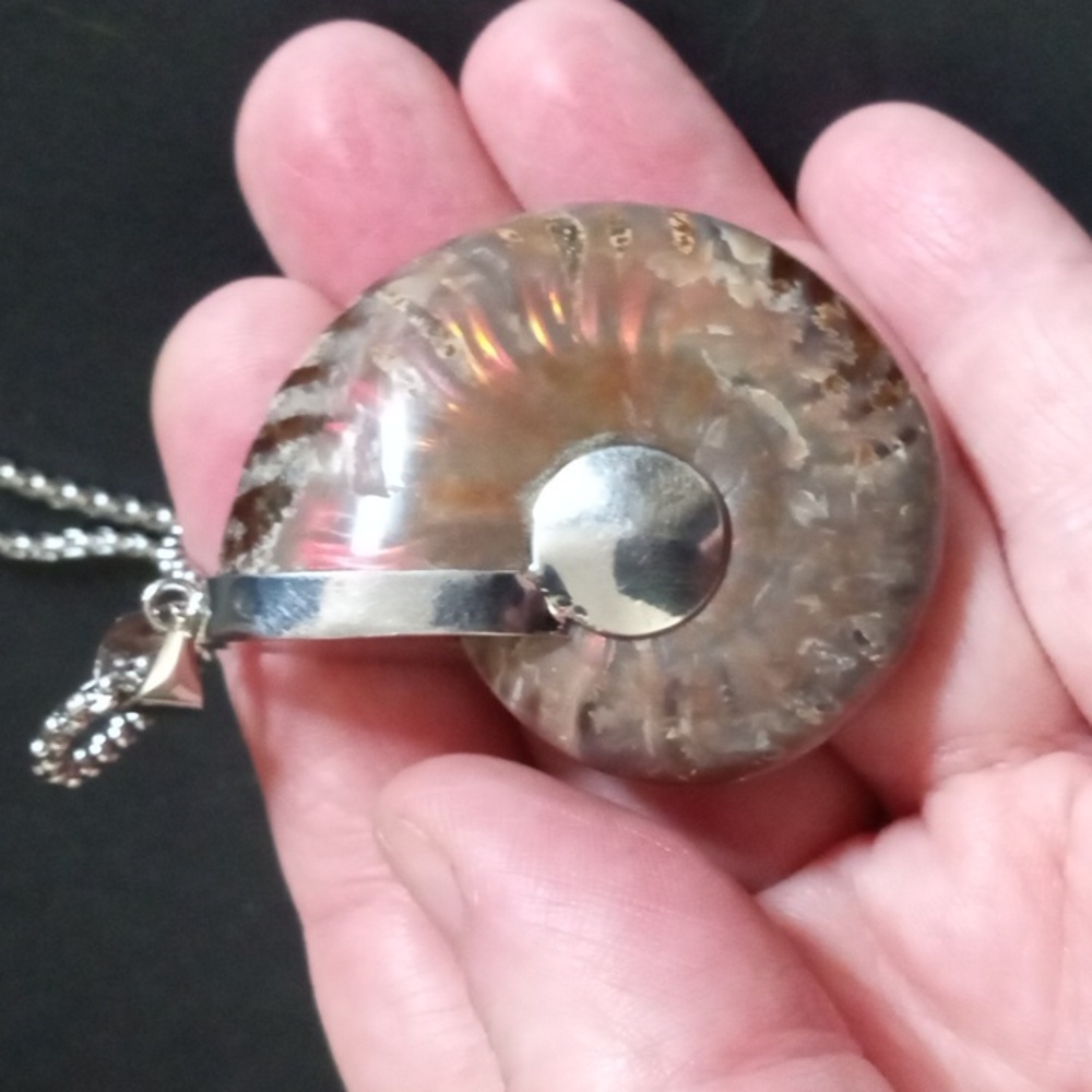 Large Fossil Opalized Ammonite Pendant with Chain